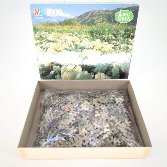 MB Milton Bradley 1000 Piece Anza-Borrego Desert State Park, CA Jigsaw Puzzle GC - Picture 11 of 12